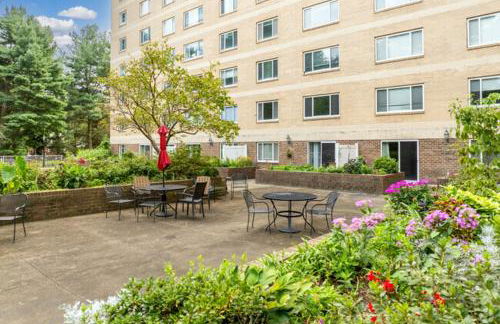 Legacy at Imperial Village 712 I 1 Bed 1 Bath - Foto 5