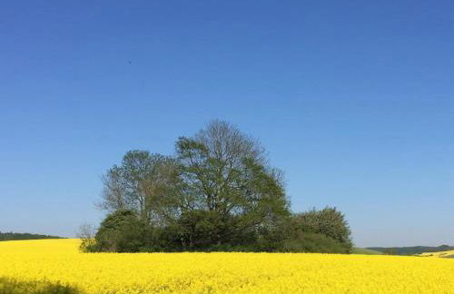 Apartments Blue House, Putbus - Foto 59