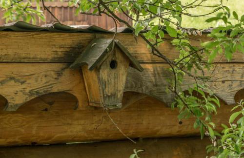 Kałamunka - Foto 71