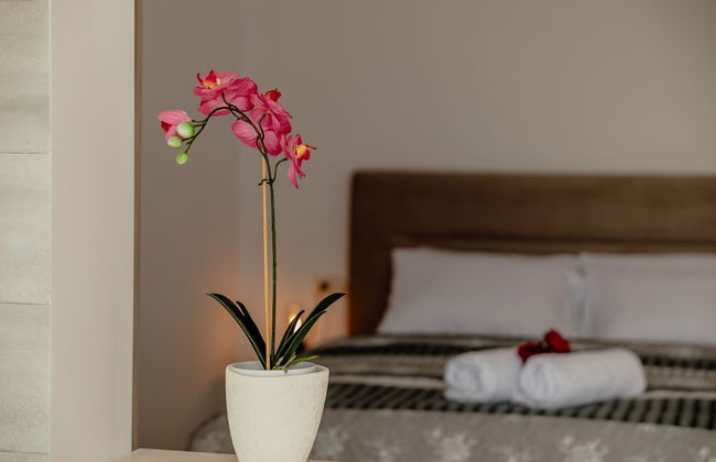 Apartmani Belvedere - Foto 4