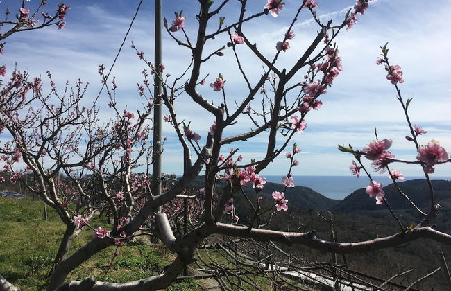 Agriturismo LaValleggia - Foto 68