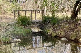 Eco-Villa en lisière de forêt - Photo 3