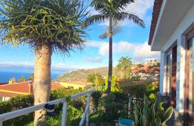 Casa Flamboyan - Foto 5