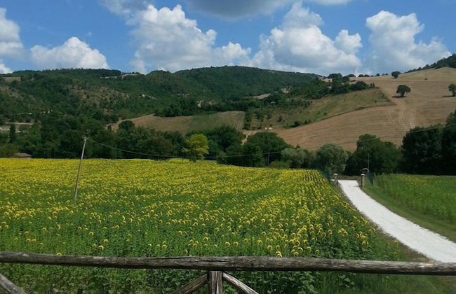 Agriturismo Il Casale - Photo 56