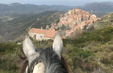 Grande maison à Belgodère Balagne - Foto 31