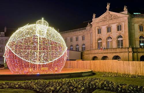 Les Gîtes de l'ile à Metz - Foto 41