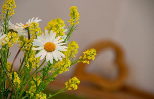 Allgäuer Bergblick - Foto 32