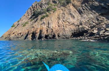 L'Uliveto HOLIDAY HOUSE - Photo 66