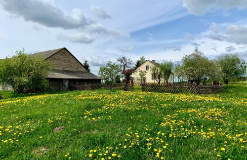 Siedlisko Wiłkupie, Dom na wzgórzu - Foto 45