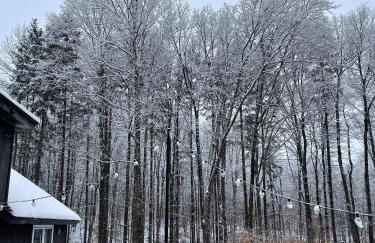 Forest Mountain Escape: Beautiful Mountaintop Escape In Mendon, Vt. 20 Min To Killington/14 To Pico. 4 Bedroom Home - Foto 76