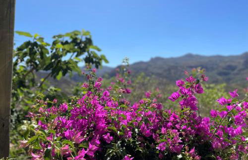 Villa Los Faramondos Naturehouse - Photo 39