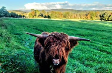 Casa Buchenweg - Foto 15