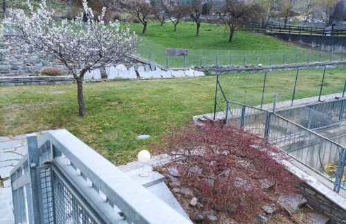 The Green Owl - Foto 38