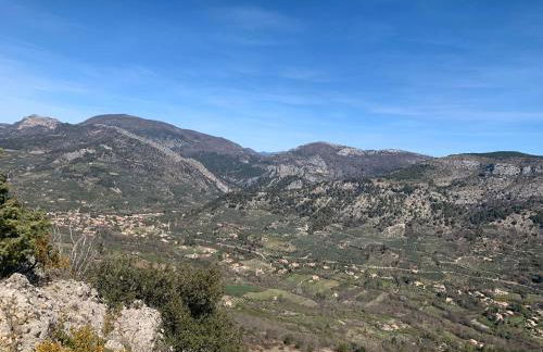 Mas Christiane - Foto 32