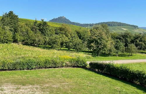 Ferienwohnung Reblandblick - Foto 19