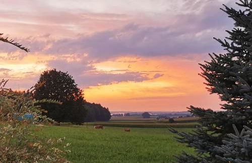 Ferien bei Fuchs - Photo 6