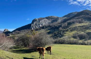 Casa Rural MONTE ROBLO - Foto 60