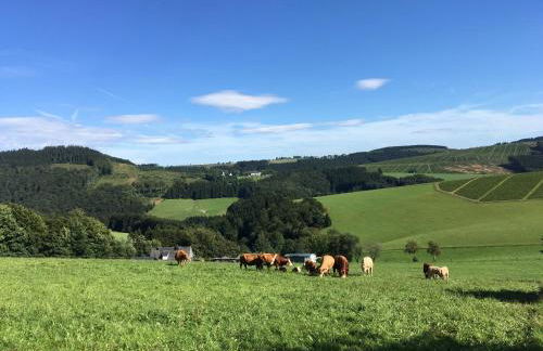 Ferienwohnung Brandenburger - Foto 30