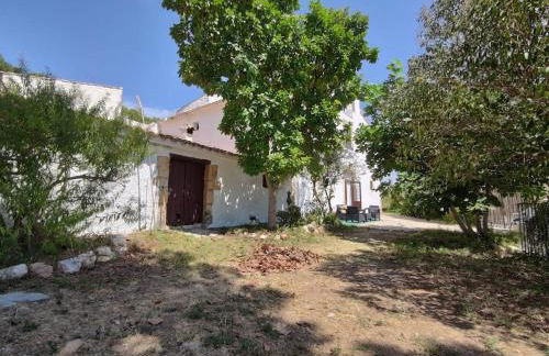 Mas Romeu Rural House - Foto 7