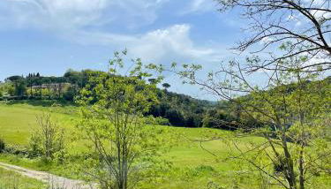 Appartamenti le Ginestre - Foto 4