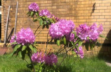 Alte Bahnstation Leipzig (Appartement TWO & ONE) - Foto 22