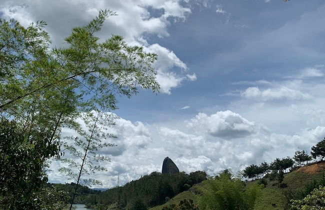 Hotel Selva Negra - Photo 42