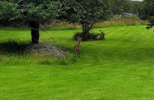 Sound of Durnamuck - Foto 126