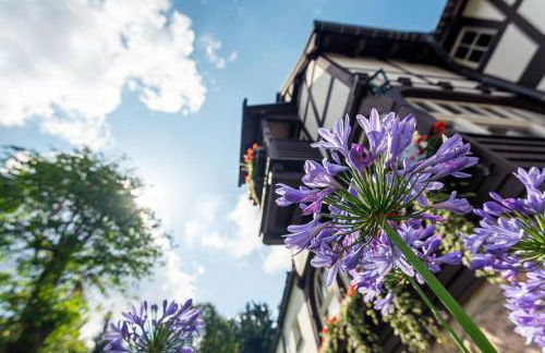 Villa Marie Ferienwohnungen - Foto 33