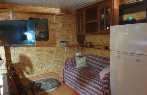 Loja Casa dos Cisnes - Serra da Estrela - Foto 28