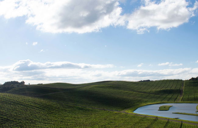 Caminhos da Colônia Tour - Photo 1