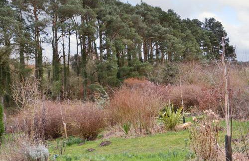 Spindlestone - Foto 10