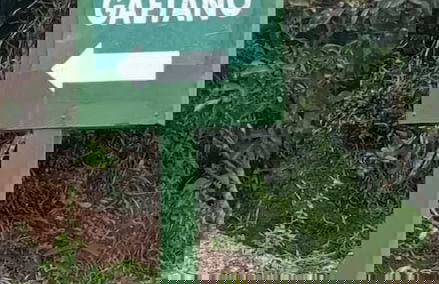 Rincón De Gaetano - Photo 1