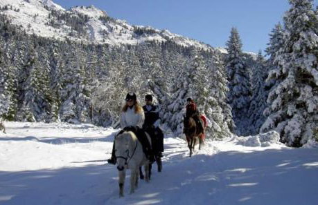 Παραδοσιακή πέτρινη κατοικία στην Βλάχα Ελάτης - Foto 51