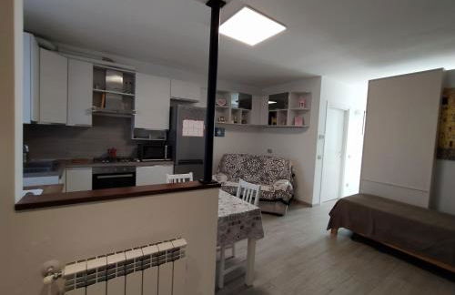 PINK & GREEN APARTMENTS - RHO FIERA MILANO MIND - Andrea - Foto 49