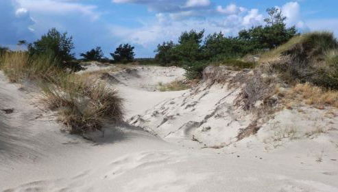 Apartments in Ribnitz-Damgarten 36531 - Foto 4