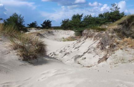 Apartments in Ribnitz-Damgarten 36531 - Foto 4