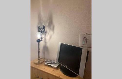 Vintage Apartment WOLF im Wadrilltal - Balkon Garten - Foto 25