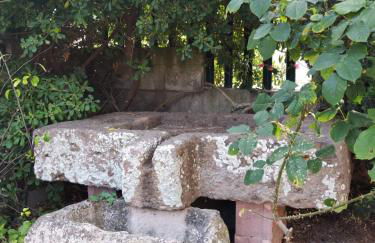 Il Casale Del Cortonese - Foto 6