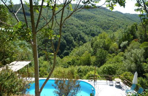 Fraseneggi - Foto 51