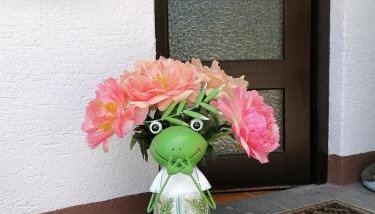 Haus Akelei - Photo 4