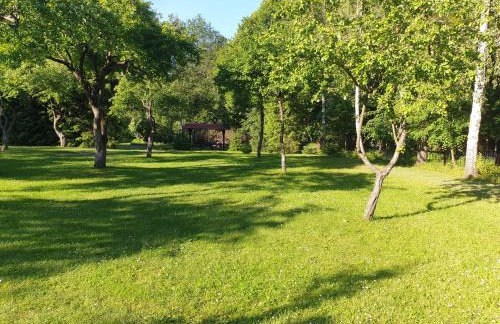 Domki w sadzie - Gościniec LECH - Foto 8