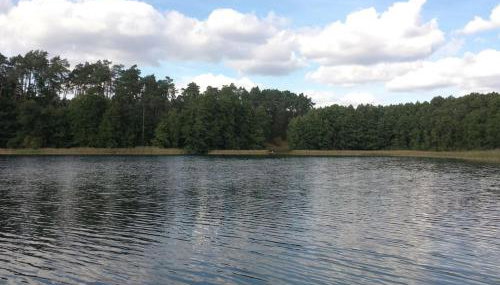 Bungalow Mechow - Foto 4