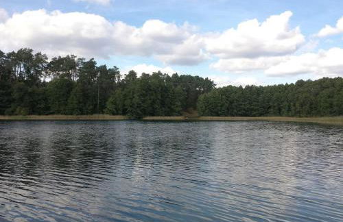 Bungalow Mechow - Foto 4