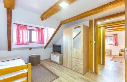 Nice Home In Gospic With Sauna - Photo 37