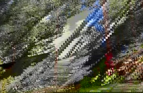 Casa Barcelona - Foto 18