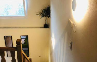 Green Olive Studios - Photo 16