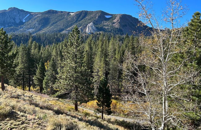 Inviting Mountain Retreat Steps From Ski Lifts! - Foto 41