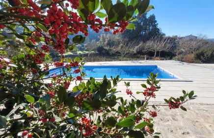 Casa Dos Strecht's - Photo 1