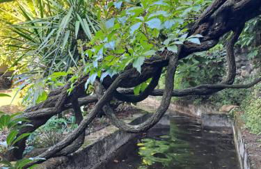 Gîte 5 "LE LAURUS" aux Magnolias - Foto 29