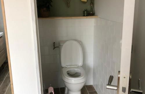 Le colibri - Photo 8